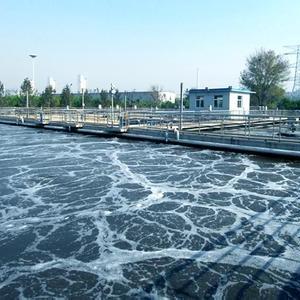 瑞赛环保供应recy-dan-01型工业废水总氮超标处理剂 污水总氮去除剂